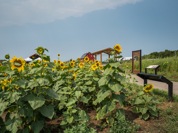 Farm Documentation