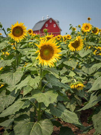 Farm Documentation
