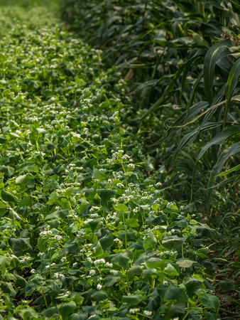 Farm Documentation