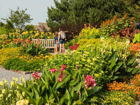 Annual Garden in full summer bloom
