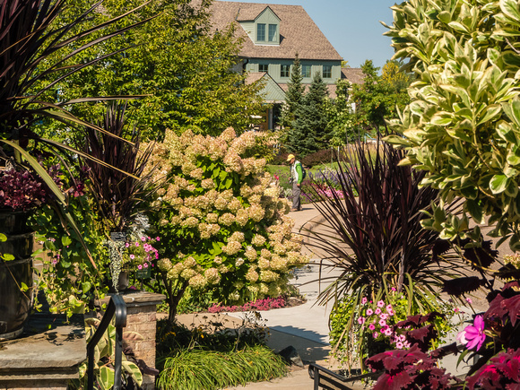 Entrance Garden facing Oswald Visitor Center