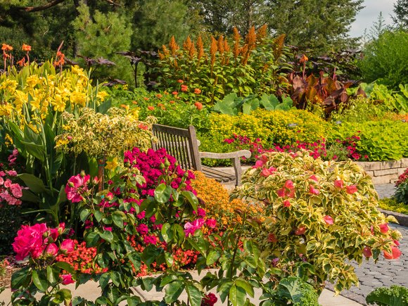 Annual Garden in Late Summer