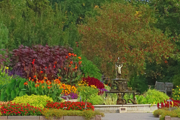 Fountain Fall Color