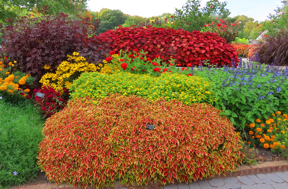 Fall Color 2023