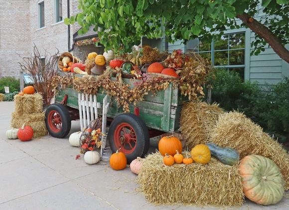 Harvest Wagon 2023