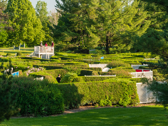 Navigating the Maze Garden