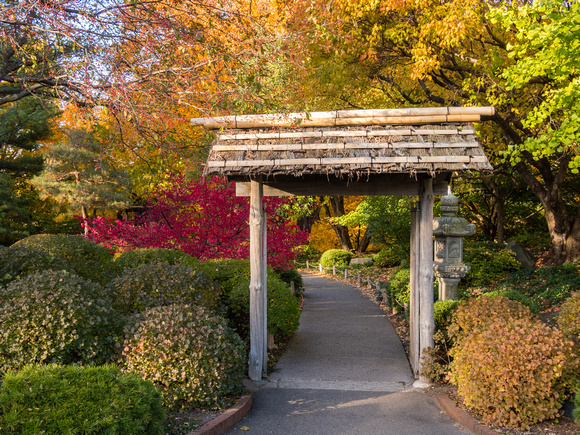 Japanese Garden Entrance in Early Fall
