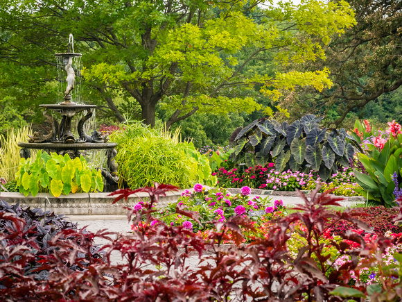 Annual Garden in Early August