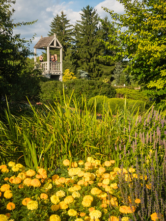 View Towards Kitchen Herb Garden from Dyer's Garden