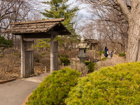 A mid-March day in the Japanese Garden