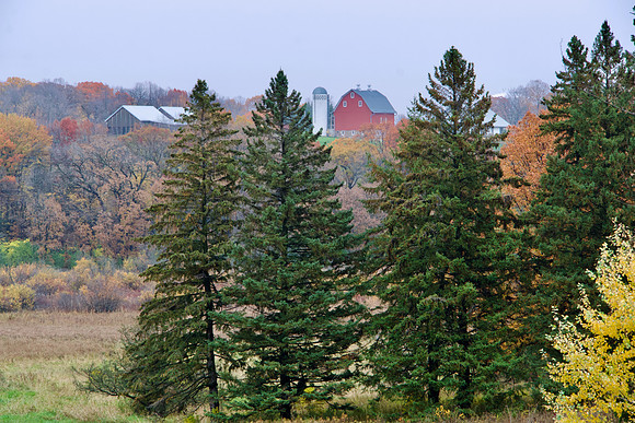 RedBarnFall2023_BonnieRonning.-6