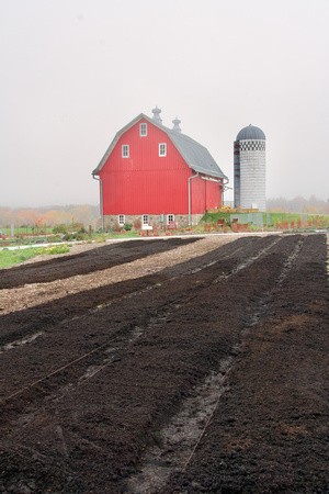 RedBarnFieldsTilled_BonnieRonning.05