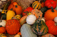 Scarecrows in the Gardens