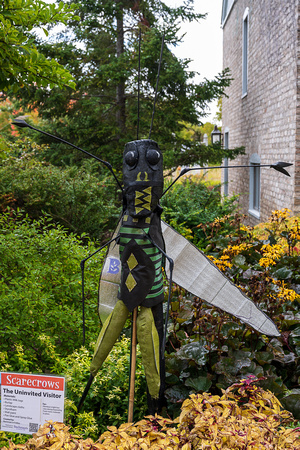 Scarecrows 2022