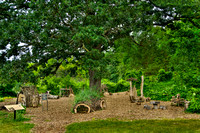 Under the Oak