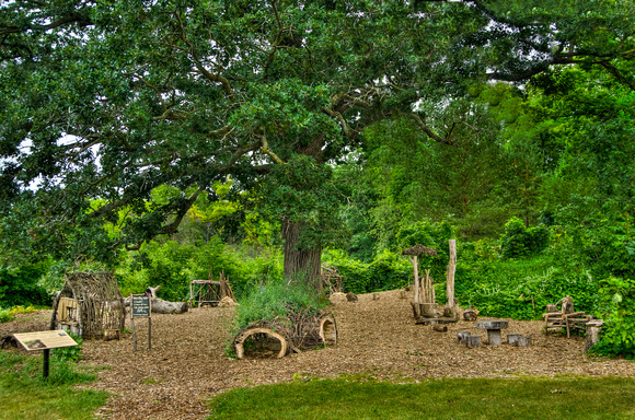 Under The Oak