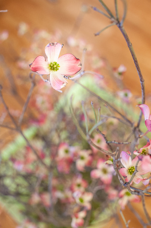 Design a Spring Floral Basket