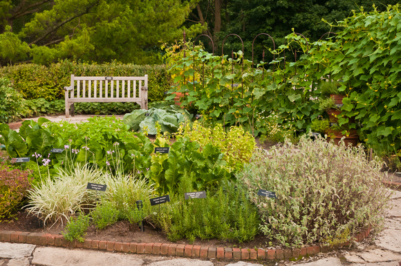 Kitchen Herb Garden