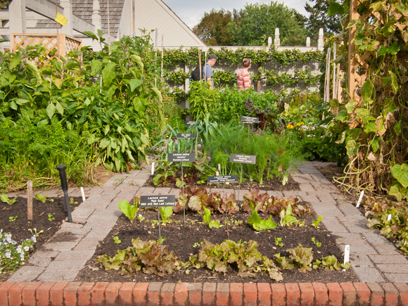Home Demonstration Vegetable garden