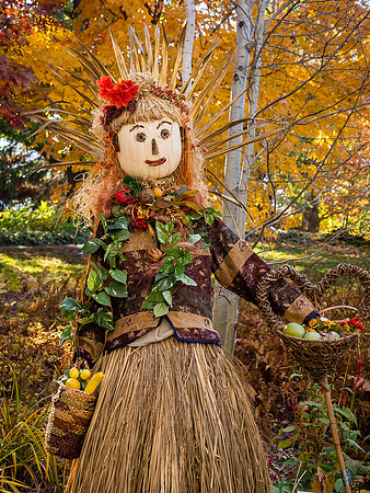 Scarecrows in the Garden 2014