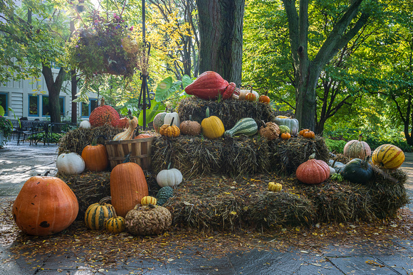 2023 Autumn_Todd Mulvihill_2640