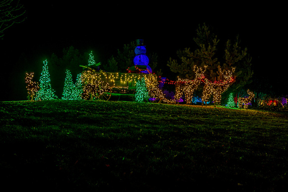 2023 Winter Lights