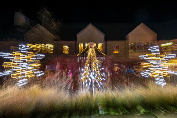 2023 Winter Lights