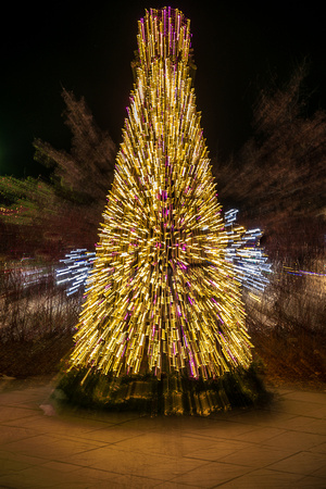 2023 Winter Lights
