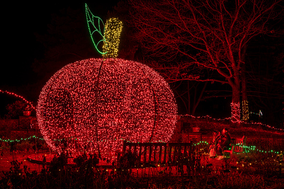2023 Winter Lights