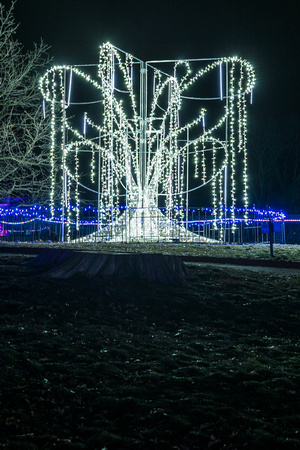 2023 Winter Lights