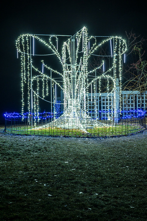 2023 Winter Lights