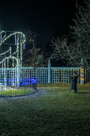 2023 Winter Lights