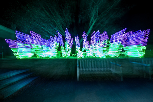 2023 Winter Lights