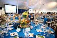 Gala in the Gardens