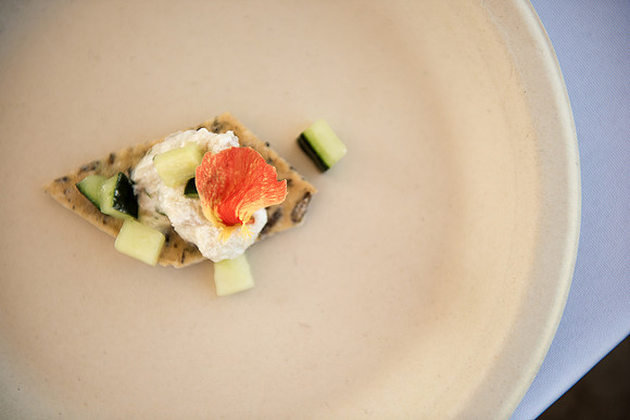 2019 Taste & Toast