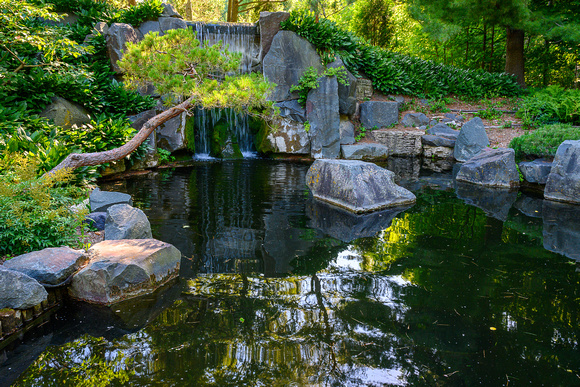 JapaneseGarden_Todd Mulvihil_1337
