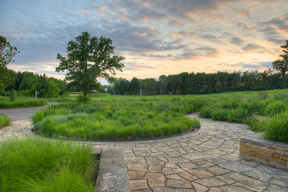 Prairie Garden 2