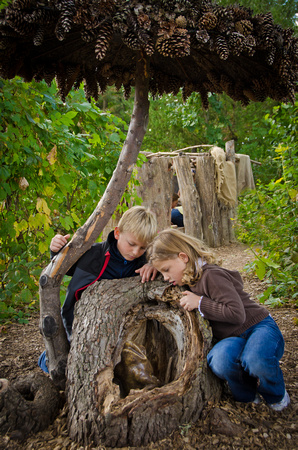 Under The Oak