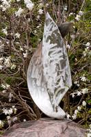 Silver Sail