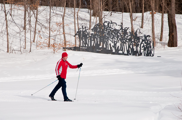 Winter Sport - skiing