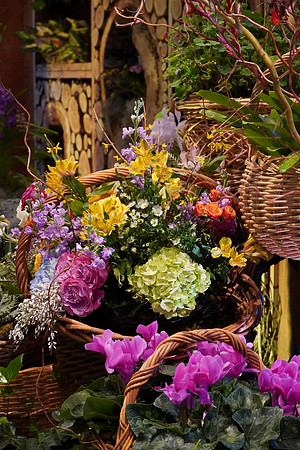 FlowerShowOpeningNightFlowers2024_BonnieRonning.05