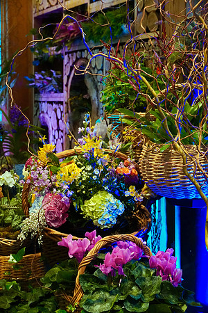 FlowerShowOpeningNightFlowers2024_BonnieRonning.04