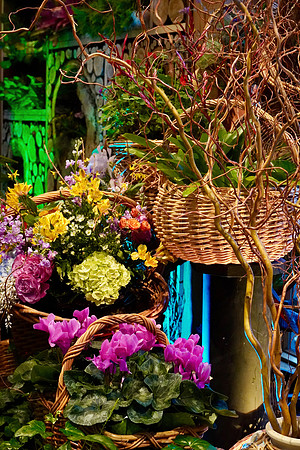 FlowerShowOpeningNightFlowers2024_BonnieRonning.03