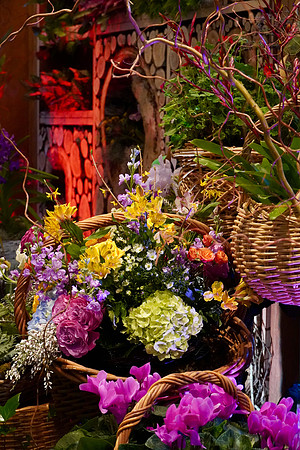 FlowerShowOpeningNightFlowers_BonnieRonning.02