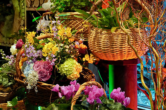 FlowerShowOpeningNightFlowers_BonnieRonning.01