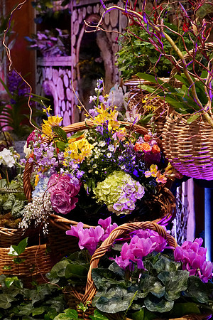 FlowerShowOpeningNightFlowers2024_BonnieRonning.06