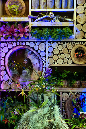 FlowerShowOpeningNightLogWall2024_BonnieRonning.