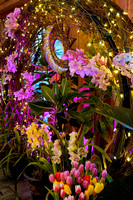 2024 Flower Show