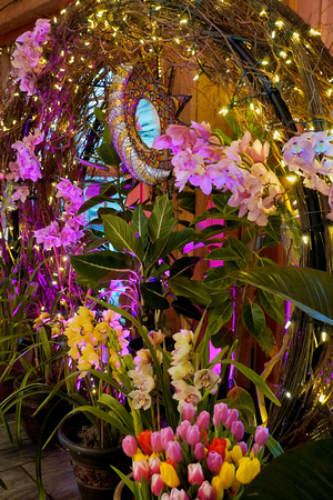 FlowerShowOpeningNightPinkCircle2024_BonnieRonning.10