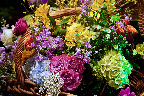 FlowerShowOpeningNight2024VC_BonnieRonning.00
